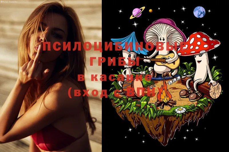 Галлюциногенные грибы Psilocybe  Скопин 